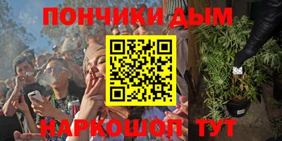 гидра Краснознаменск