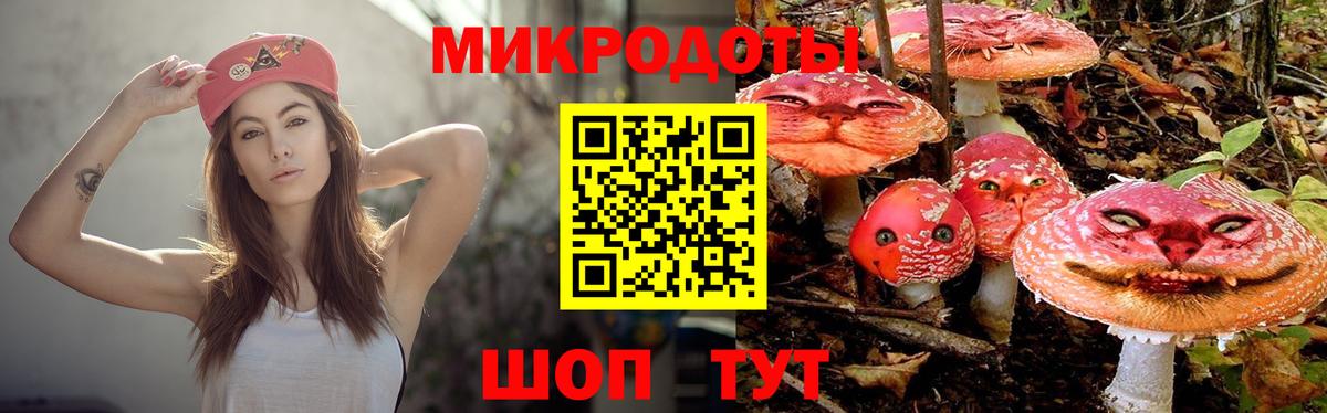 Галлюциногенные грибы Psilocybine cubensis  Вход с VPN  Ростов Великий 